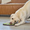 Outward Hound Tough Skinz Durable Squeaky Dog Toy with Two