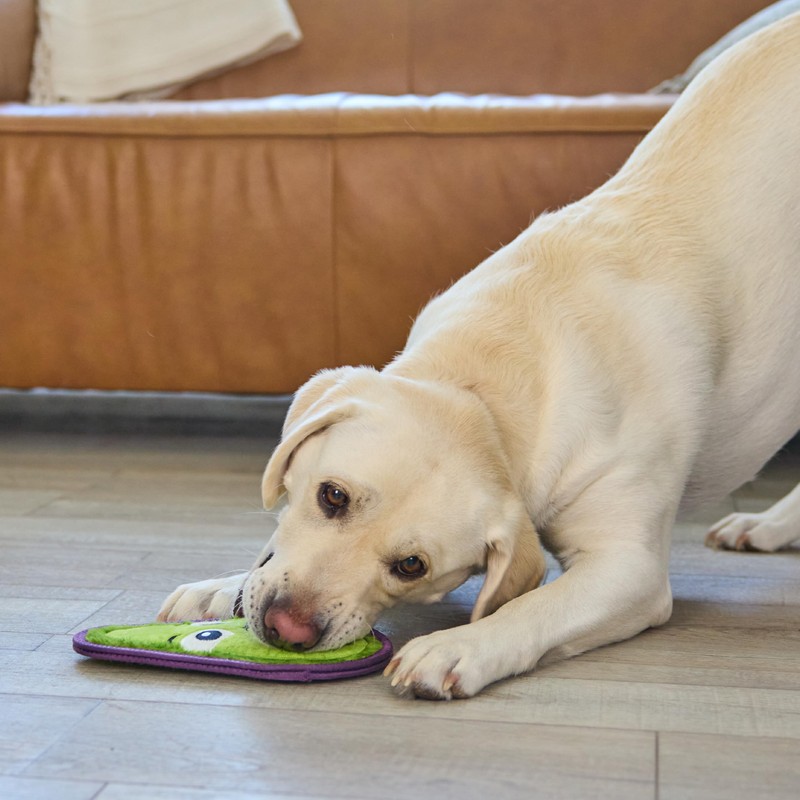 Outward Hound Tough Skinz Durable Squeaky Dog Toy with Two