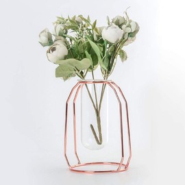 Yosoo Maceta de Vidrio de Metal Transparente Planta hidropónica floreros de Menta Scindapsus para Mesa hogar Sala de Estar Decoraciones de Oficina(Rose Gold)