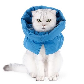 Cat Recovery Collar,Soft Adjustable Cat Cone,Kitten Cone for Cats After Surgery to Stop Licking Scratching,Lightweight Waterproof Fasteners Collars for Cats Kittens Puppies (Blue, S)