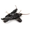 Chile Pasilla Pepper (Pasilla Negro) // Weights: 4 Oz, 8