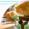 Interactive Cat Dog Toy Ball: Indoor Small Automatic Moving Smart