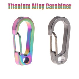 1Pcs Keychain Clip Titanium Alloy D-Ring Keyring Clip Small Snap Hook for Keys, Backpack, Fishing, Camping, Hiking Outdoor, Silver