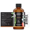 Healing Solutions Restore Blend Essential Oil - 2 Fluid Ounces