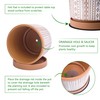 D'vine Dev Set of 2 Terracotta Pots, 4 Inch &