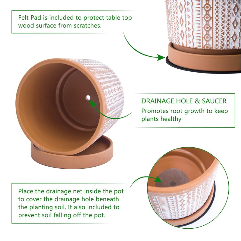 D'vine Dev Set of 2 Terracotta Pots, 4 Inch &