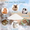 Sukh 31OZ Hamster Sand Bath - Fine Desert Sand Hamster