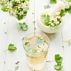Organic hawthorn tea, organic hawthorn leaves with blossoms, hawthorn from
