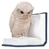 moses. B-Uhu-ch Bookend Decorative Object for Bookcase, 3D Owl as