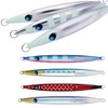 Scale Jig 400g ＃005G Scale Silver Z Glow (ウロコ ウロコジグ
