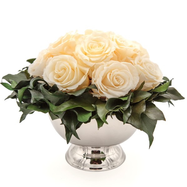 ROSEMARIE SCHULZ Heidelberg Infinity Flowers in Silver Cup Eternal Rose Preserved Bouquet Long Lasting (Champagne, 11 Roses)