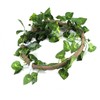 Reptile Climbing Branch Flexible Jungle 3.28ft Rattan 1Pc Vine(3.28ft Rattan+Scindapsus
