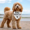 Dog Bandana Pregnancy Announcement Baby Security in Training Baby Announcement