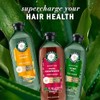 Herbal Essences Champú De Semilla De Uva Sin Sulfatos, 13,5