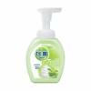 Q 포밍항균핸드워시 애플블로섬 250ml Q Foaming Anti-Bacterial Hand Wash Apple Blossom 250ml
