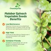 Outsidepride Basella Rubra Malabar Spinach Seeds - 100 Pcs. Perennial,