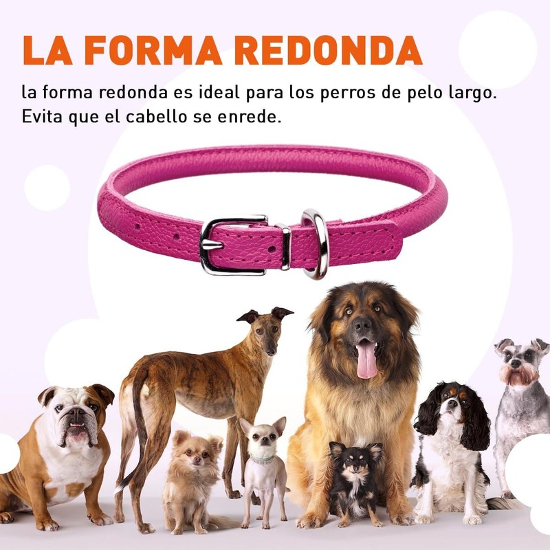 Collar de piel enrollada para perro – L1000, suave y
