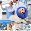 Inflatable Dog Collar, Recovery Cone, After Pet Surgery, Prevent Dogs