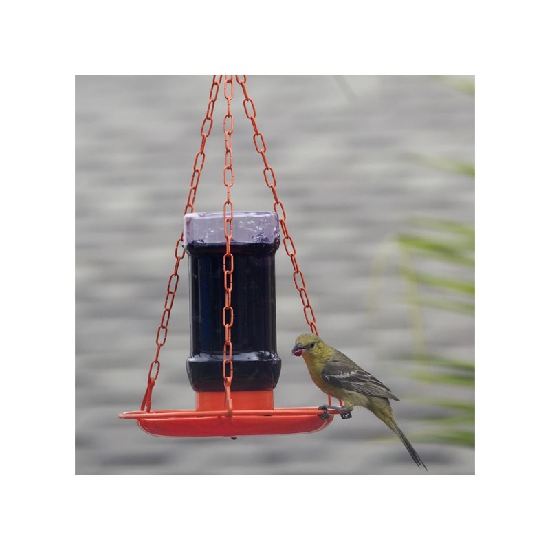 Perky Pet Jelly Feeder Oriole 32 Oz