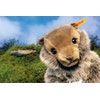 Steiff Burri Marmot, Mottled Brown, 10" Plush