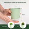 LESOASIS 4 Inch 5 Pack Small Self Watering Pots for