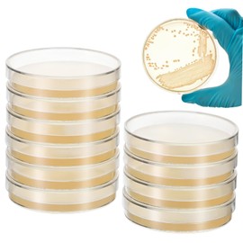 Ciieeo 10Pcs Pre Poured Nutrient Agar Petri Dishes for Science Experiments for School Projects Strong and Easy to Use Agar Plates for Cultivation