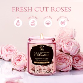 Bulgarian Rose Scented Candles for Home,50 Hours Long Lasting Soy Wax Candles,Odor Eliminating Aromatherapy Candle, Bathrooms Jar Candle for Home Decor, Pets, Smoke, Gift for Women and Men (7oz)