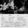 LOA THE EMULSION Neroli Smoketea Low The Emulsion Nerolis Smoke