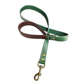 Leather Dog Leash - 4ft Heavy Duty Leather Leash for Dogs - Genuine Leather Dog Training Leash with Padded Handle - Stylish Pet Leash with Strong Metal Clip for Small, Medium, Large Dogs (Green)