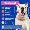 Dogelthy Gastro Aid Suplemento con Pre y Probioticos para Perros