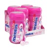 Mentos Pure Fresh Sugar-Free Chewing Gum with Xylitol, Bubble Fresh