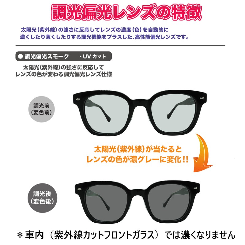 [OTC.web] LSK11HC Men's Sunglasses, Darkening Colors, Polarized Dimming, King Size,