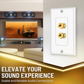 TNP Home Theater Wall Plate - Banana Plug Wall Plate, 1 Speaker Wire Wall Plate with Gold-Plated Terminals, Single Gang Audio Wall Plate, in-Wall Surround Sound Connection Plates, White