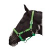 Hy Grand Prix Head Collar Hot Orange Cob