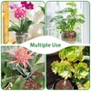 Orchid Potting Mix,Premium Orchid Bark Potting Mixture of Pine Bark,Perlite
