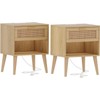 Irontar 17.7'' Wide Rattan Nightstand Set of 2, Bedroom Night