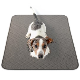 Inulabo Washable Pet Sheets, XXL, Pee Mat, Fully Washable, Reusable [Heavy Duty for Professional Sites] (XXL (Set of 2), Gray)