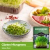 2 Packs Cilantro Microgreens Seeds for Planting and Growing -