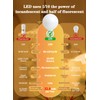 OMAYKEY 15W Dimmable Large LED Globe Bulb 100W Equivalent 1000