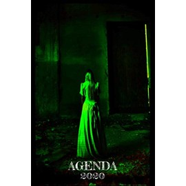 Agenda 2020: Agend 2020 I Personal Jouranl I Week Planner I Goal Planner I Organizer