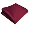 Branduce Burgundy Pocket Square for Men Plain Solid Boy Handkerchief