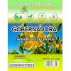 B-Experts Store Gobernadora Tea (Chaparral Leaf) – 4 oz Loose