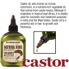 SFC Natural King Pro-growth Castor Hair & Beard Oil 2.5