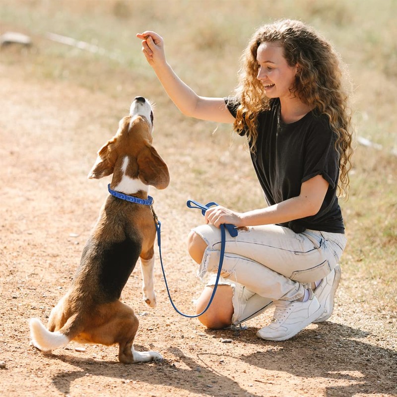 1TO3GO【Upgrade】 Adjustable Dog Training Collar with 4 Extra Links for