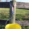 Heavy Duty Adjustable Horse Water Bucket Straps Hangers by Derby