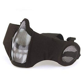 HANSTRONG GEAR H World EU Tactical Airsoft Metal Mesh Protective Mask with Ear Protection, Black Skull