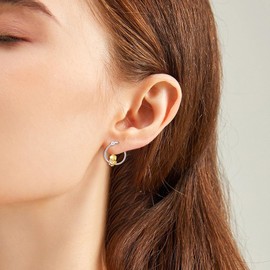 HOOHWE Pig/Axolotl/Ladybug/Panda/Yorkie/Duck Hoop Earrings for Women 925 Sterling Silver Cute Animal Huggie Hoop Earrings Jewelry Gifts for Sensitive Ears, Sterling Silver, No Gemstone