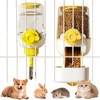 1L Pet Feeder Set, Small Animal Feeder and Drinker Set,
