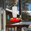 2 in 1 Heated Hummingbird Feeder for Outdoor, 66℉ Constant