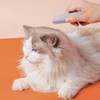 Bohue Pumice Stone Pet Hair Removal Stone Pet Grooming Tool